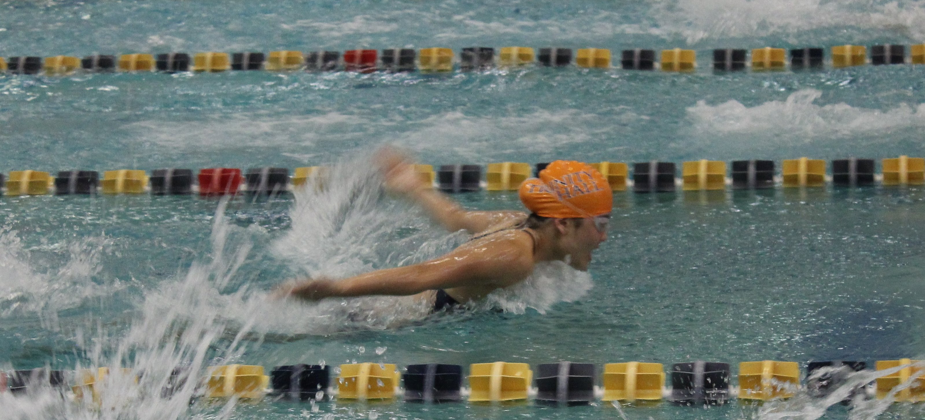 10759870752_img_1169